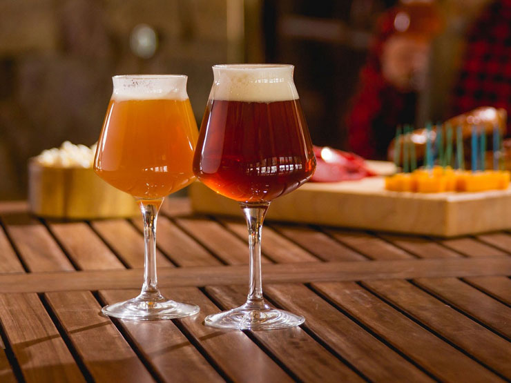 The 5 Best IPA Beer Glasses