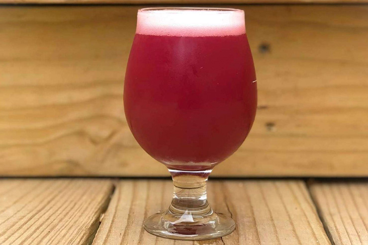 A Blackberry Sour from the Hidden River Brewing Company