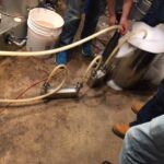 Why We Brew - Cleanliness