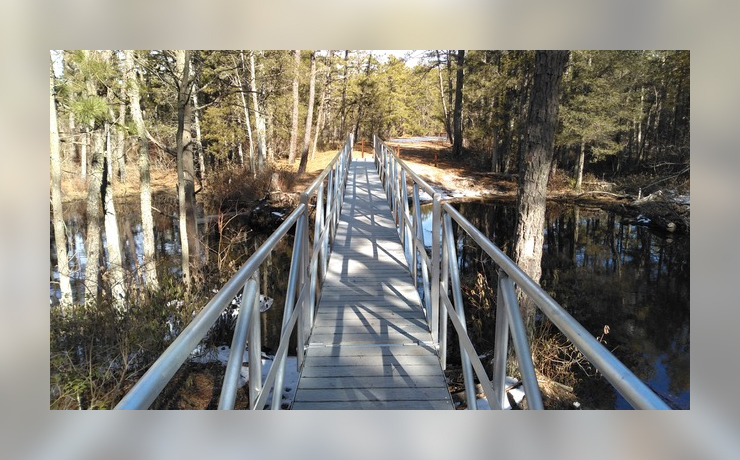 Hikes and Hops: Batsto, New Jersey - Tom's Pond Trail Bridge